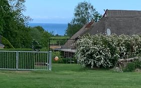 Ferienhäuser Wohlenberg - Baltic Cottages